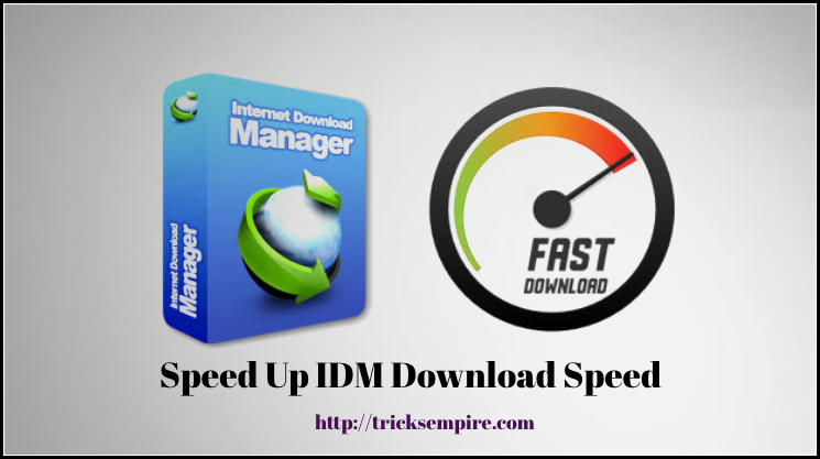 idm optimizer speed up idm