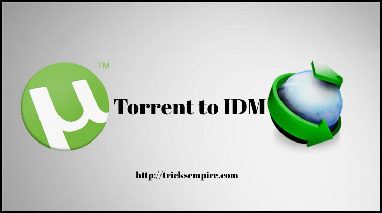 torrent to IDM